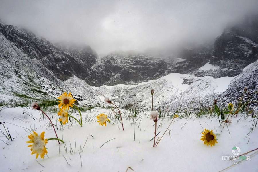Atak zimy w Koziej Dolince
