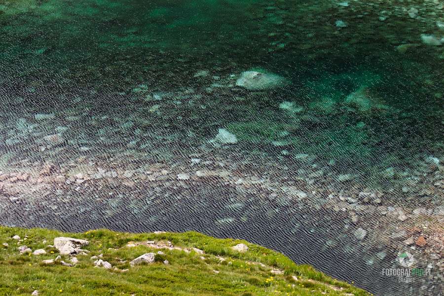 Staw Staszica wiosenną porą