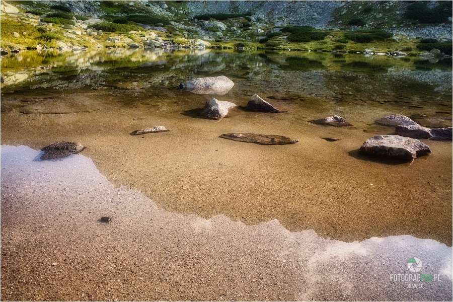 Staw w Dolinie Młynickiej