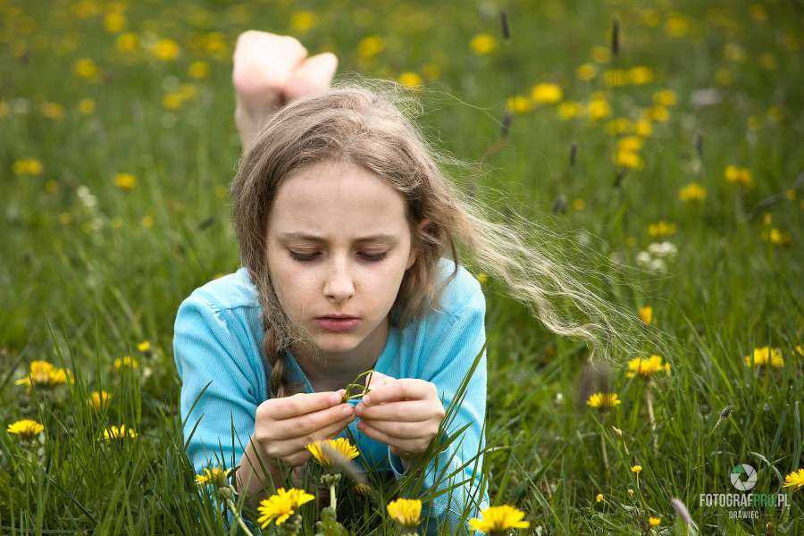 Ziółko w mniszkach