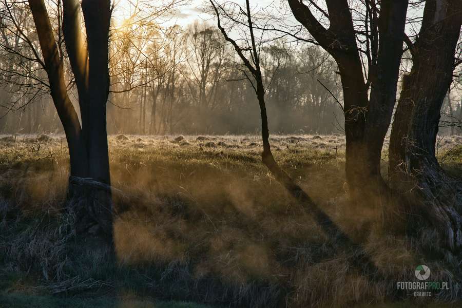 Kotlina Orawsko-Nowotarska