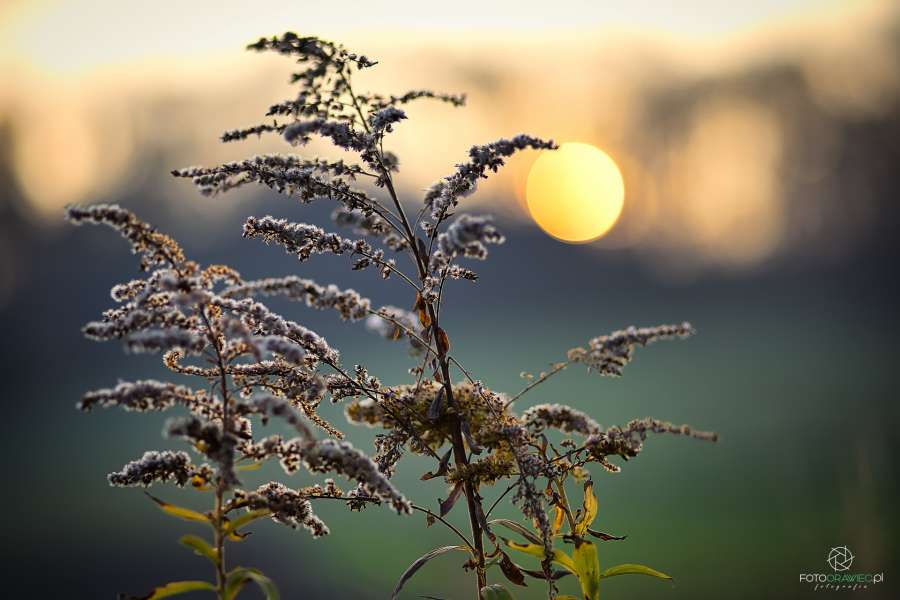 fotografia krajobrazu